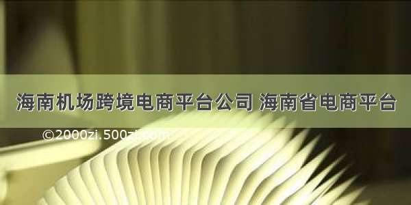 海南机场跨境电商平台公司 海南省电商平台