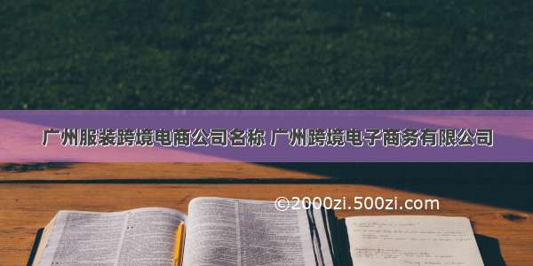 广州服装跨境电商公司名称 广州跨境电子商务有限公司