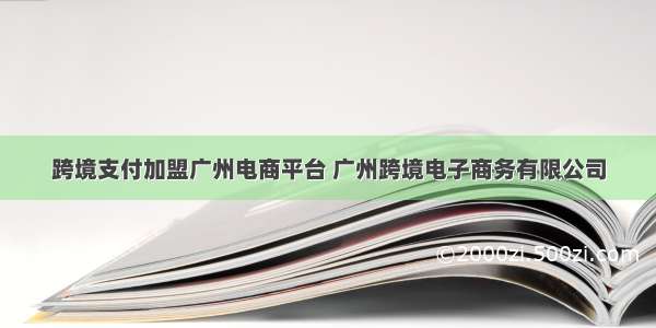 跨境支付加盟广州电商平台 广州跨境电子商务有限公司