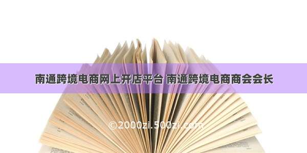 南通跨境电商网上开店平台 南通跨境电商商会会长