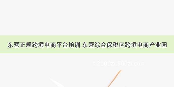 东营正规跨境电商平台培训 东营综合保税区跨境电商产业园