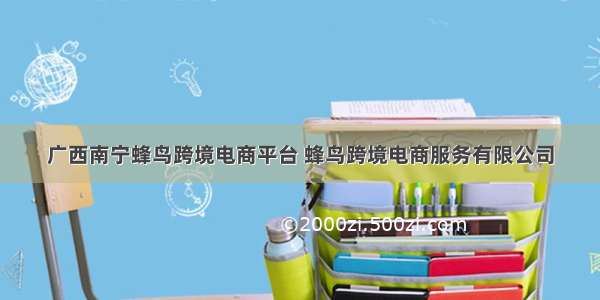 广西南宁蜂鸟跨境电商平台 蜂鸟跨境电商服务有限公司