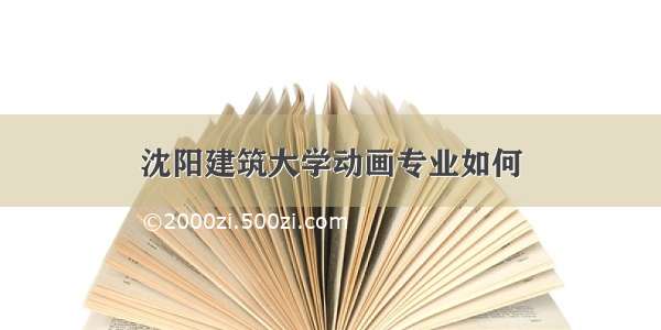 沈阳建筑大学动画专业如何