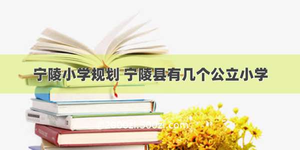 宁陵小学规划 宁陵县有几个公立小学