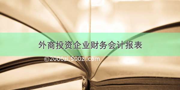 外商投资企业财务会计报表