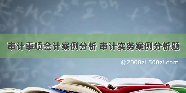 审计事项会计案例分析 审计实务案例分析题