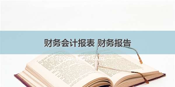 财务会计报表 财务报告