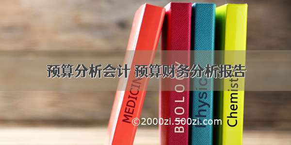 预算分析会计 预算财务分析报告