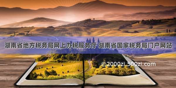 湖南省地方税务局网上办税服务厅 湖南省国家税务局门户网站