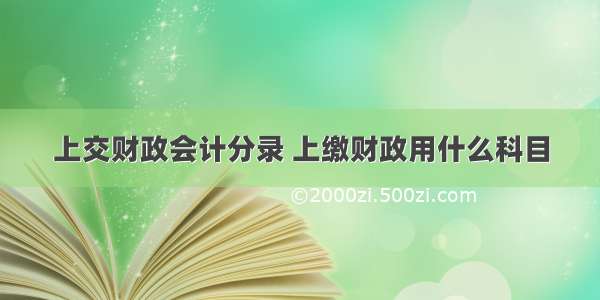 上交财政会计分录 上缴财政用什么科目