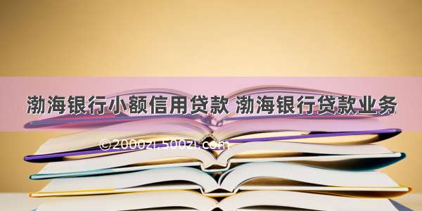 渤海银行小额信用贷款 渤海银行贷款业务