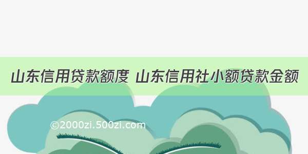 山东信用贷款额度 山东信用社小额贷款金额