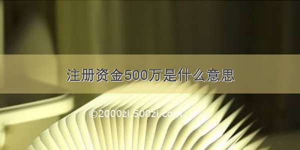 注册资金500万是什么意思