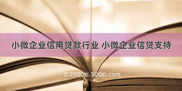 小微企业信用贷款行业 小微企业信贷支持