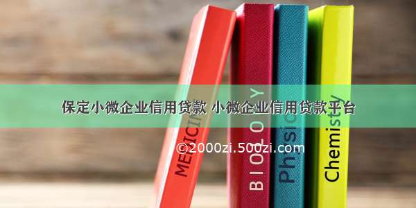 保定小微企业信用贷款 小微企业信用贷款平台