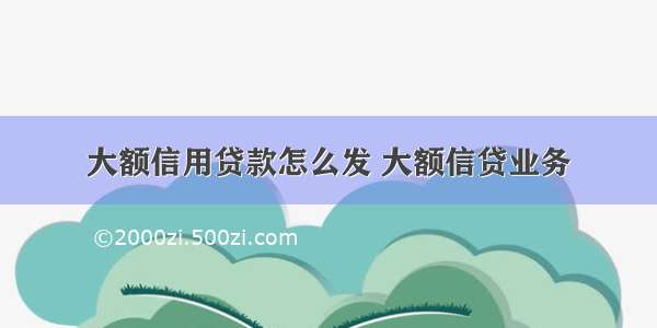 大额信用贷款怎么发 大额信贷业务