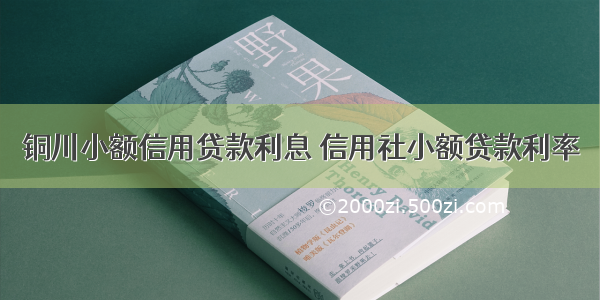 铜川小额信用贷款利息 信用社小额贷款利率