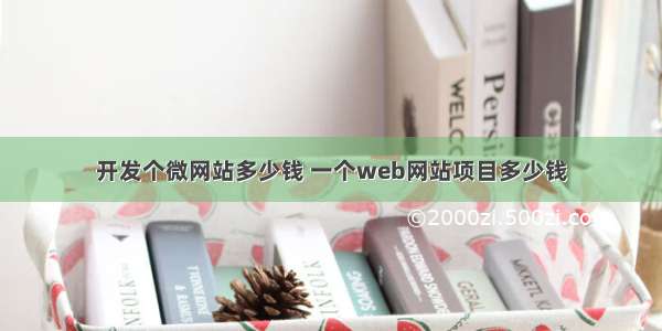 开发个微网站多少钱 一个web网站项目多少钱