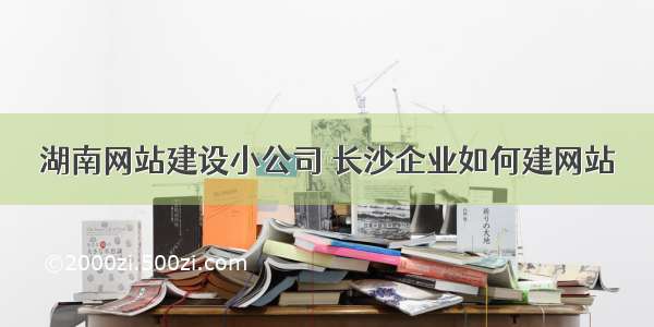 湖南网站建设小公司 长沙企业如何建网站