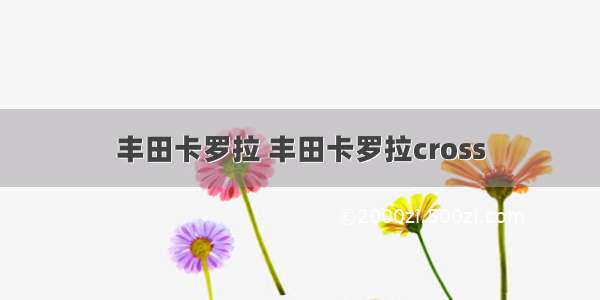 丰田卡罗拉 丰田卡罗拉cross