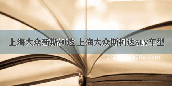 上海大众新斯柯达 上海大众斯柯达suv车型