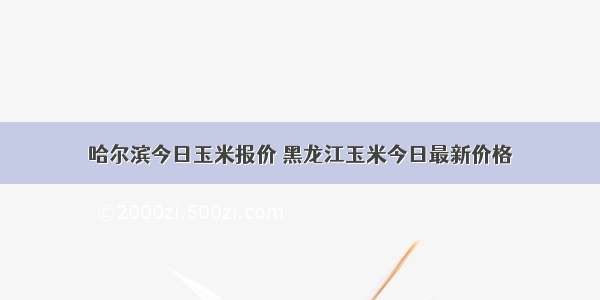 哈尔滨今日玉米报价 黑龙江玉米今日最新价格