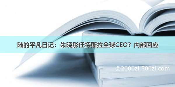 陆的平凡日记：朱晓彤任特斯拉全球CEO？内部回应