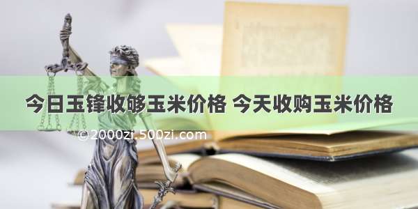 今日玉锋收够玉米价格 今天收购玉米价格