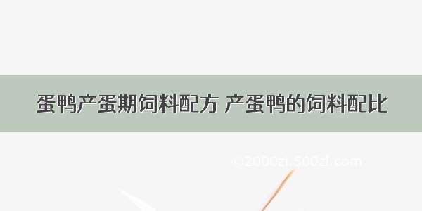 蛋鸭产蛋期饲料配方 产蛋鸭的饲料配比