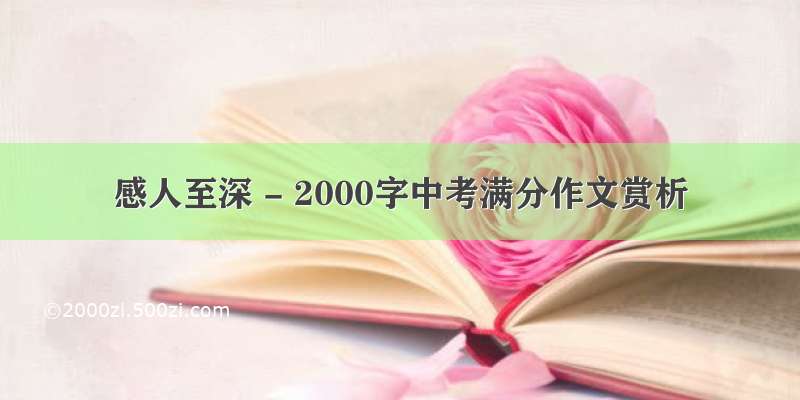 感人至深 - 2000字中考满分作文赏析