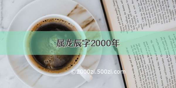 属龙辰字2000年