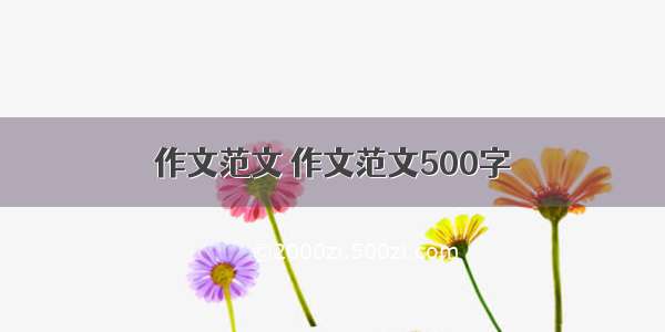 作文范文 作文范文500字