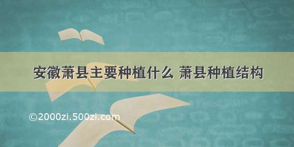 安徽萧县主要种植什么 萧县种植结构