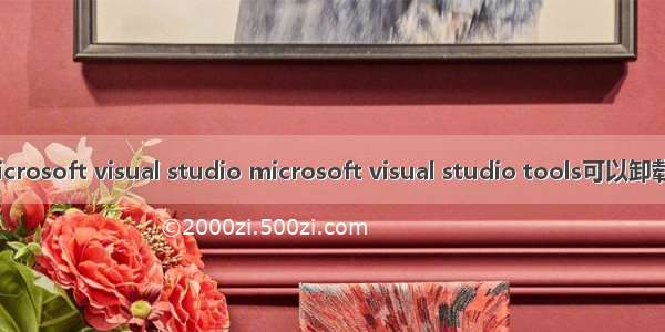 microsoft visual studio microsoft visual studio tools可以卸载吗