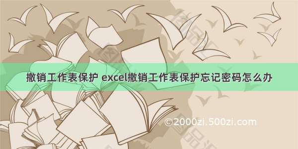 撤销工作表保护 excel撤销工作表保护忘记密码怎么办