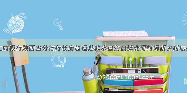 中国工商银行陕西省分行行长麻旭恒赴柞水县营盘镇北河村调研乡村振兴工作