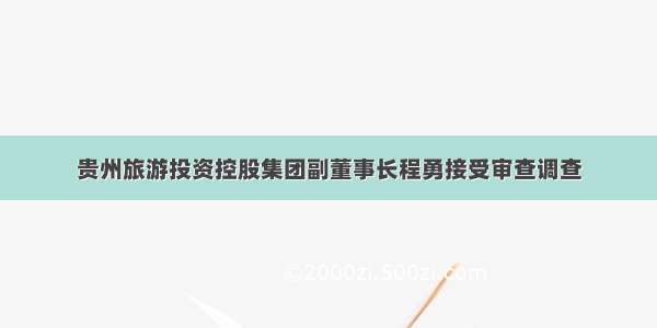 贵州旅游投资控股集团副董事长程勇接受审查调查