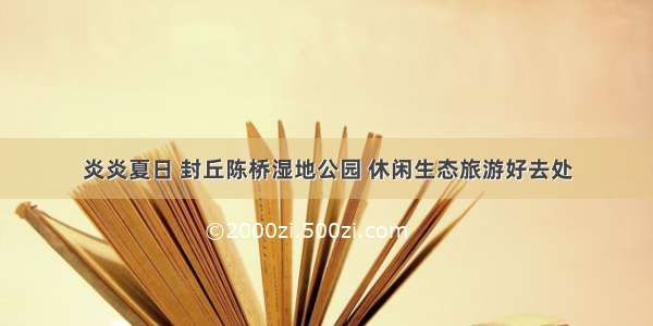 炎炎夏日 封丘陈桥湿地公园 休闲生态旅游好去处