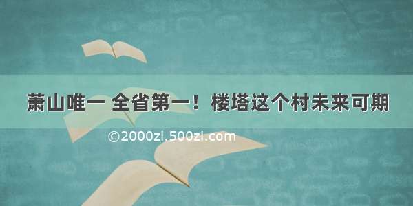 萧山唯一 全省第一！楼塔这个村未来可期