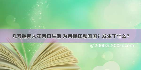 几万越南人在河口生活 为何现在想回国？发生了什么？