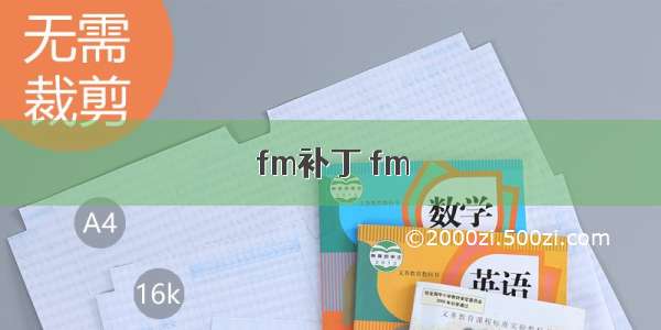 fm补丁 fm