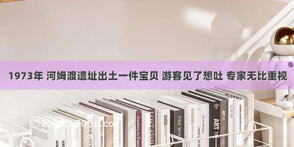 1973年 河姆渡遗址出土一件宝贝 游客见了想吐 专家无比重视