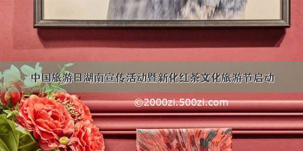 中国旅游日湖南宣传活动暨新化红茶文化旅游节启动