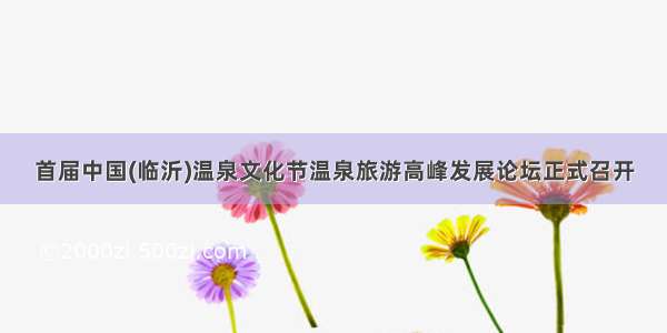 首届中国(临沂)温泉文化节温泉旅游高峰发展论坛正式召开