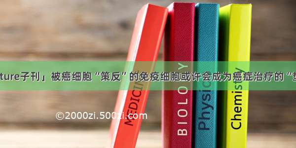 「Nature子刊」被癌细胞“策反”的免疫细胞或许会成为癌症治疗的“垫脚石”