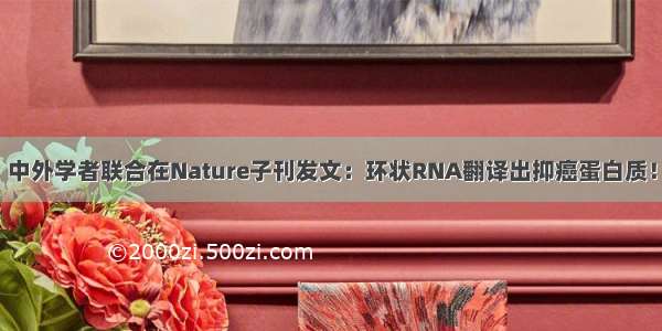 中外学者联合在Nature子刊发文：环状RNA翻译出抑癌蛋白质！