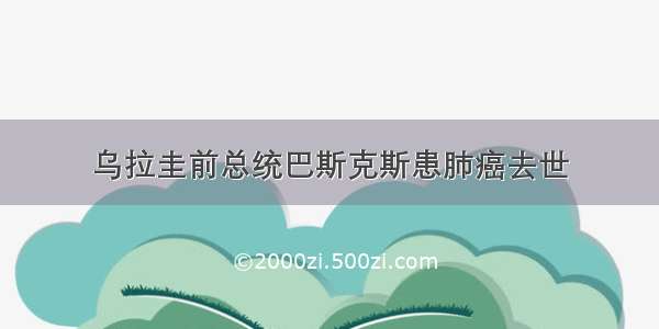 乌拉圭前总统巴斯克斯患肺癌去世