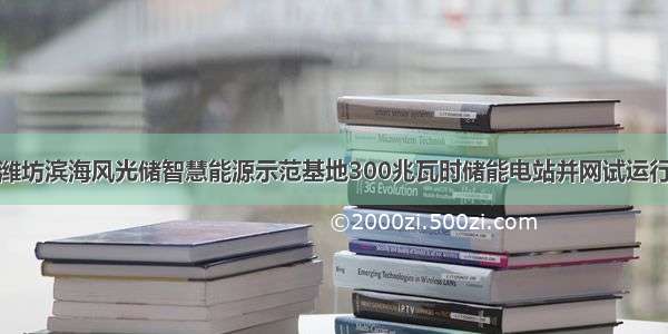 潍坊滨海风光储智慧能源示范基地300兆瓦时储能电站并网试运行