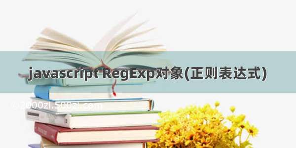 javascript RegExp对象(正则表达式)