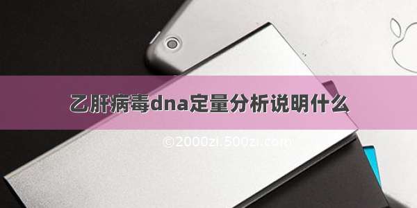 乙肝病毒dna定量分析说明什么